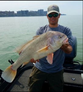 Lake Erie Walleye Perch Limits Remain Unchanged Pittsburgh Post