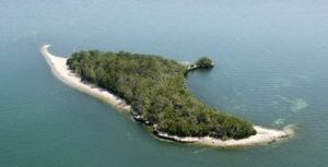 Buy Your Own Private Lake Erie Island For 685 000 Rock The Lake