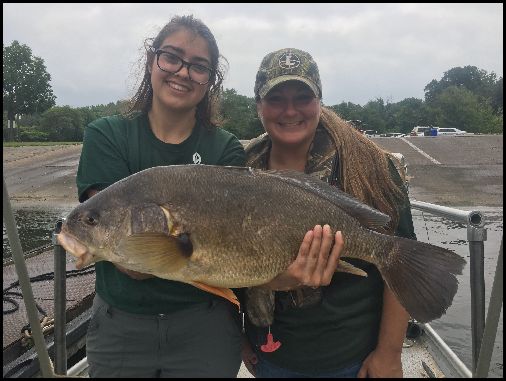 Steelhead Fishing Starting Ohio Lake Erie Fishing Report Sept 13