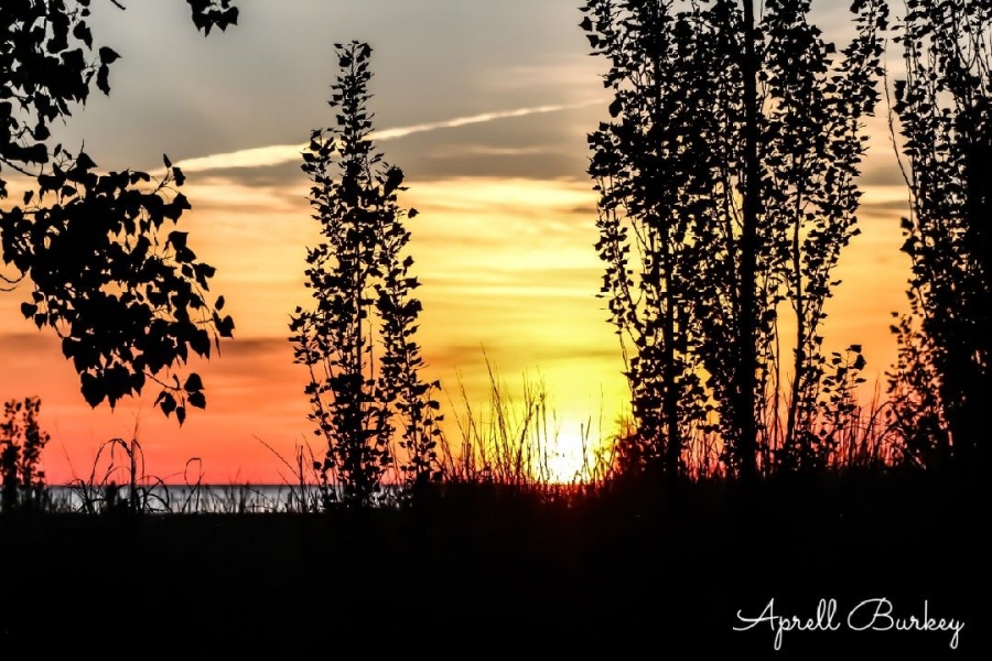 Summer Solstice Sunset photo contest